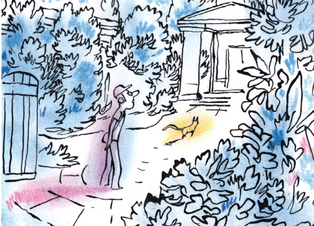 BD : “Les Jardins invisibles”, les délicates tranches de vie d’Alfred