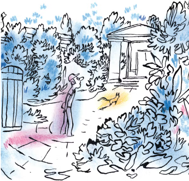 BD : “Les Jardins invisibles”, les délicates tranches de vie d’Alfred