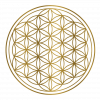 flower-of-life-7230983_640